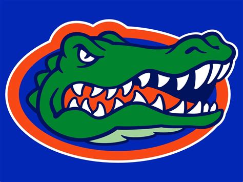 florida gator