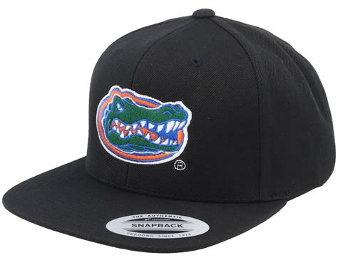 florida gators hat