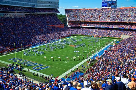 florida gators stadium