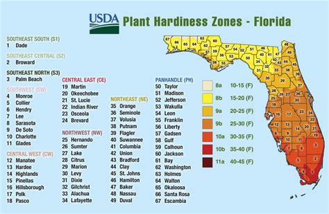 florida hardiness zone