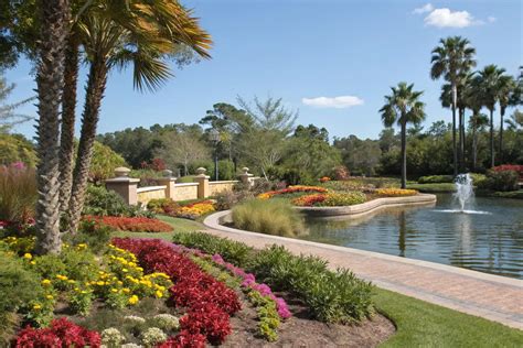 florida landscape