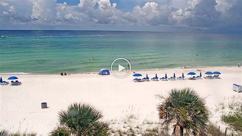 florida live