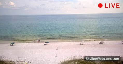 florida live cam