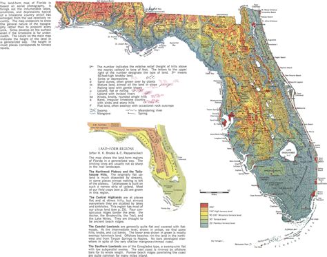 Florida Map And Landforms Teaching Resources Tpt Florida Map Second Grade Worksheet - Florida Map Second Grade Worksheet