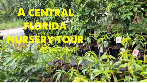 florida nursery