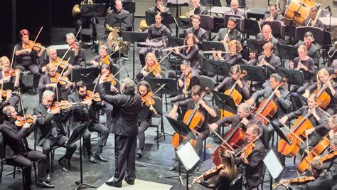 florida orchestras