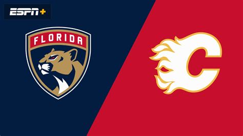 florida panthers match
