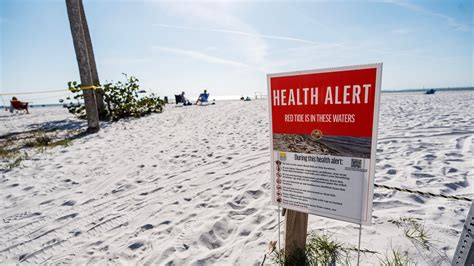 florida red tide