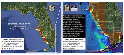 florida red tide map