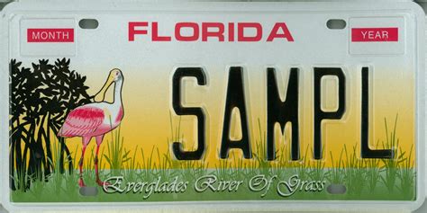 florida registration plates
