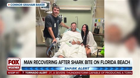 florida shark attack