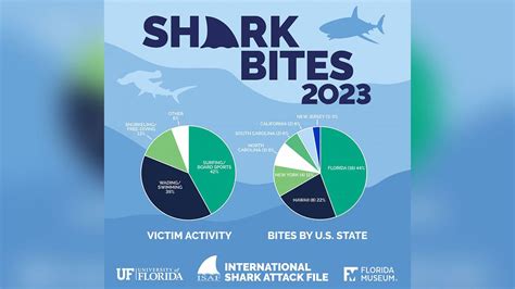 florida shark attacks