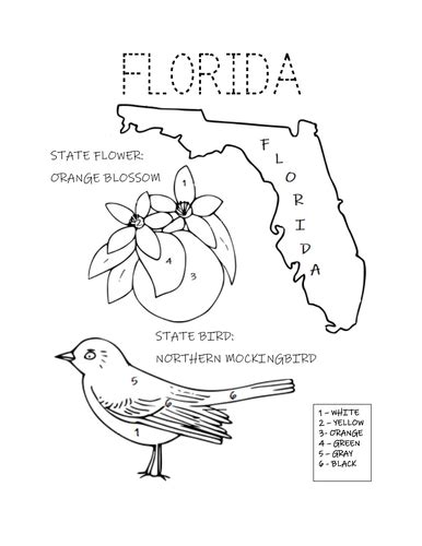 Florida State Bird And Flower Coloring Page Florida State Bird Coloring Page - Florida State Bird Coloring Page