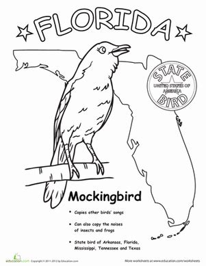 Florida State Bird Worksheet Education Com Florida State Bird Coloring Page - Florida State Bird Coloring Page