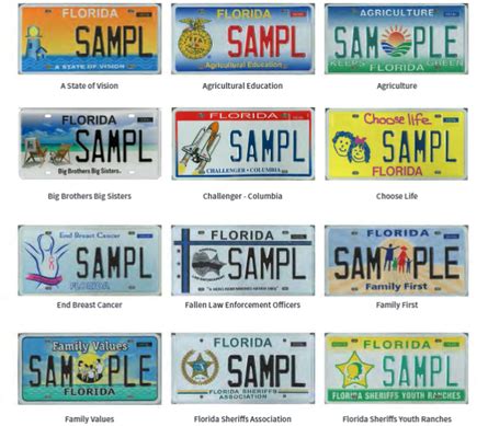 florida state plate