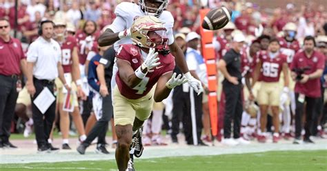 florida state squirrel white