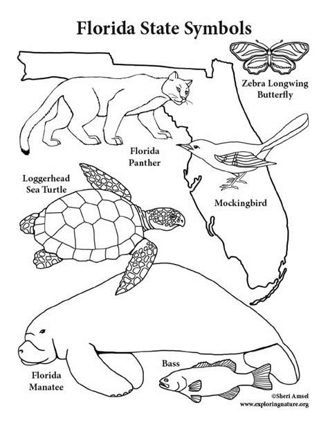 Florida State Symbols Coloring Page Map Of Florida Coloring Page - Map Of Florida Coloring Page
