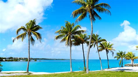 florida vacations