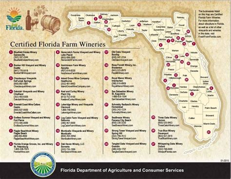 florida wineries