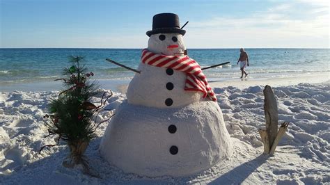 florida winter