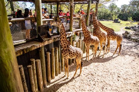 florida zoos