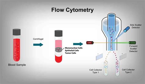 Flow Cytometry Analysis From Applied Cytometry Makers Of