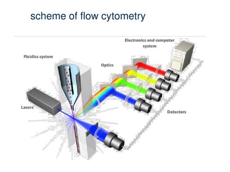 Flow Cytometry Ppt