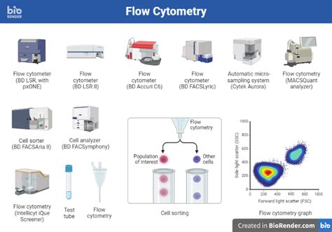 Flow Cytometry Protocols