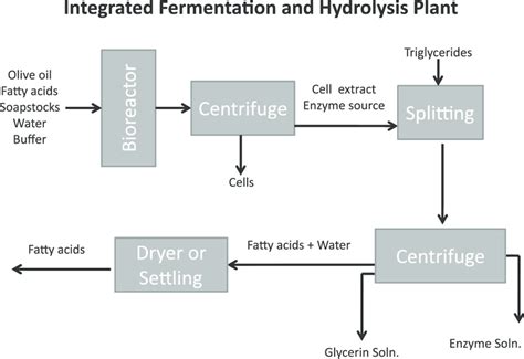 flow diagram block of fermentation