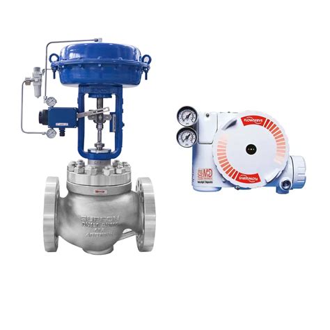 Read Flow Control Flowserve 