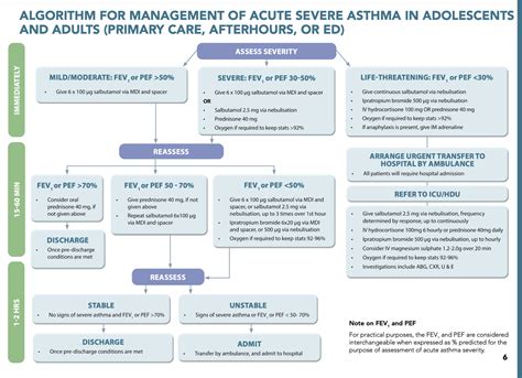 Flowchart Of An Asthma Action Plan