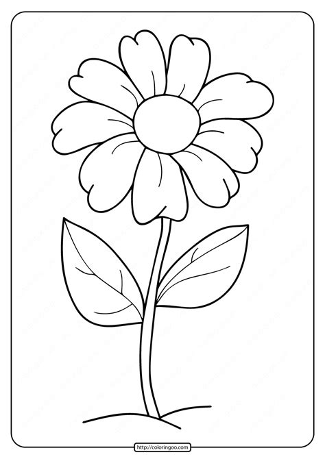 Flower Anatomy Coloring Page Free Printable Coloring Pages Parts Of A Flower Coloring Sheet - Parts Of A Flower Coloring Sheet