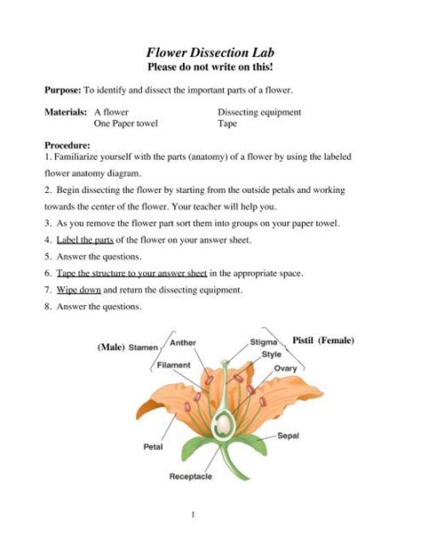 Flower Dissection Lab Answer Key