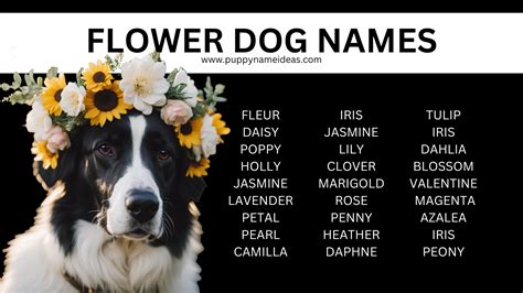 Flower Dog Names