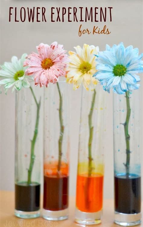 Flower Experiment For Kids Flower Science Experiment - Flower Science Experiment