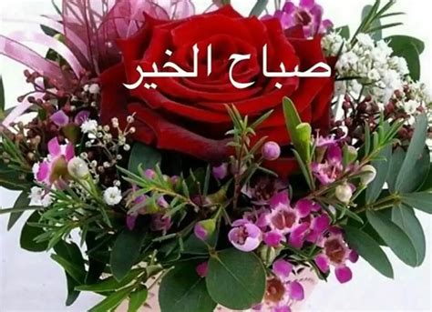 Flower In Arabic Beautiful Insanity Arabic Names Of Flowers - Arabic Names Of Flowers