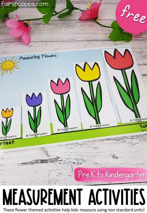 Flower Measurement Activities Fairy Poppins Flower Measurement Worksheet For Kindergarten - Flower Measurement Worksheet For Kindergarten