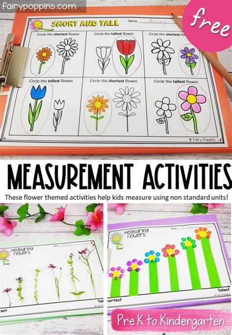 Flower Measurment Teaching Resources Tpt Flower Measurement Worksheet For Kindergarten - Flower Measurement Worksheet For Kindergarten