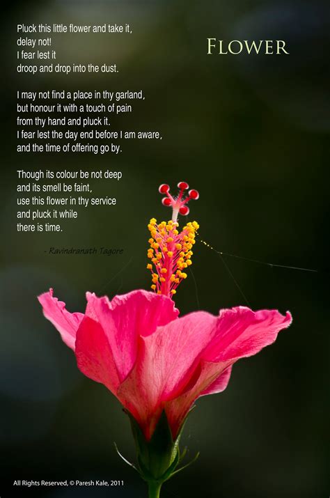 Flower Poems
