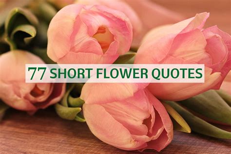 Flower Quotes Short