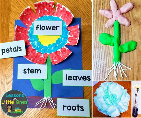 Flower Science Activities For Preschoolers   Flower Science Activities For Preschool And Kindergarten - Flower Science Activities For Preschoolers