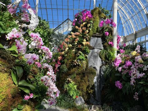 flower show pictures