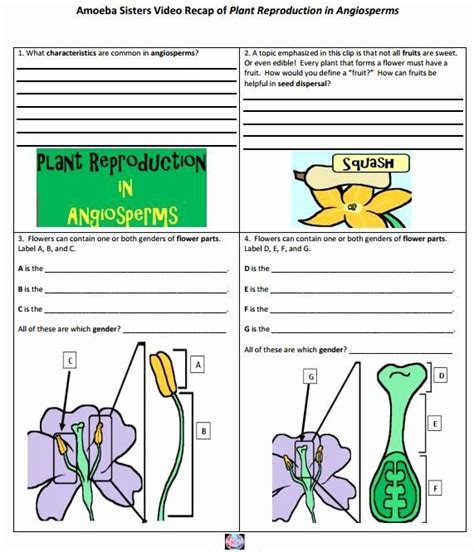 Flower Structure And Reproduction Worksheet Flashcards Structure Of A Flower Worksheet Answers - Structure Of A Flower Worksheet Answers