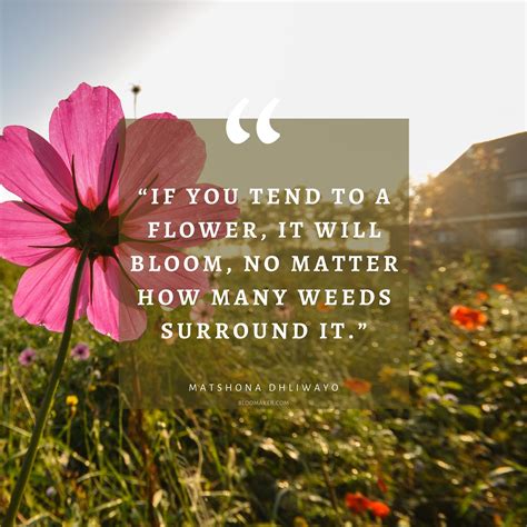 Flower Weeds Quotes