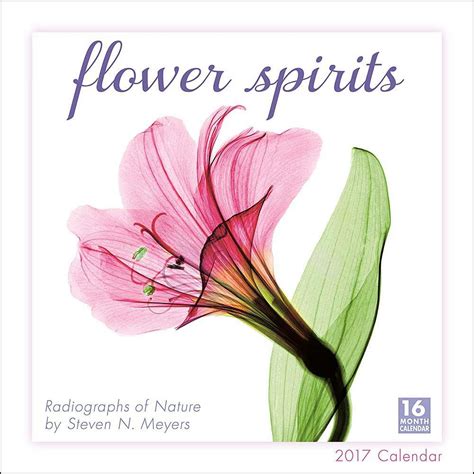 Download Flower Spirits 2017 Wall Calendar 