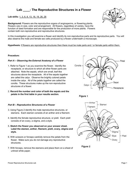 Read Flower Structure And Reproduction Answer Key 