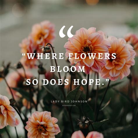 Flowers And Quotes