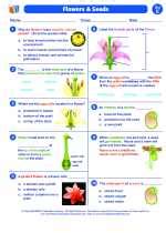 Flowers And Seeds 5th Grade Science Worksheets And 5th Grade Parts Of A Seed - 5th Grade Parts Of A Seed