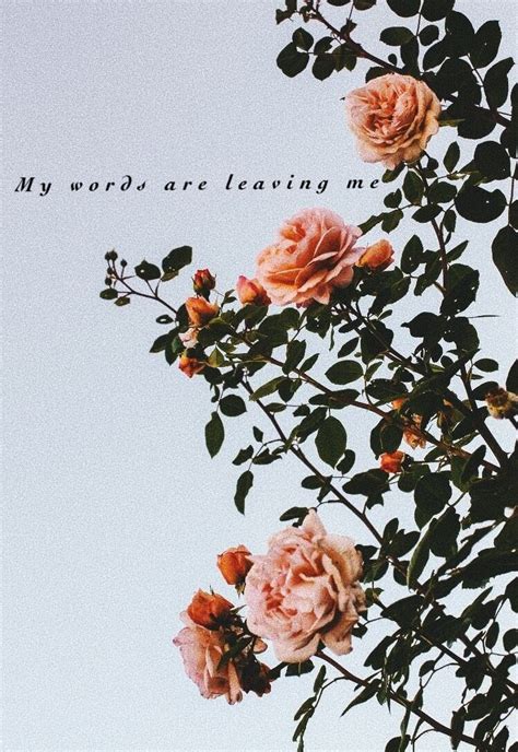 Flowers Background Tumblr With Quotes