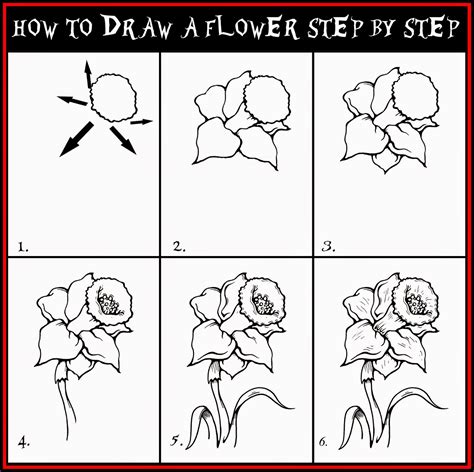 Flowers Drawings Step By Step